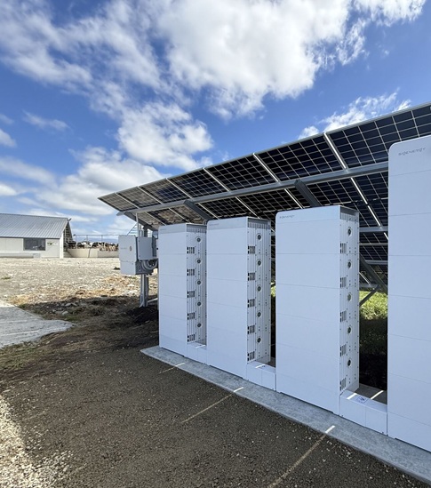 New Zealand - 579 kwp single pillar ground mount